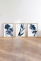 Wallity Huhu207 - Set de 3 Cuadros Decorativos 50 x 70 cm